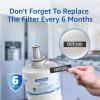 imageWaterspecialist DA2900003G Refrigerator Water Filter Replacement for DA2900003G DA2900003B AquaPure Plus RSG257AARS RFG237AARS HAFCU1 RS22HDHPNSR WSS1 3 Filters